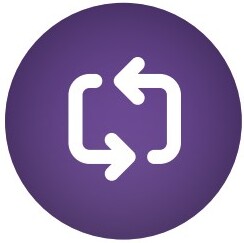 MVR icon