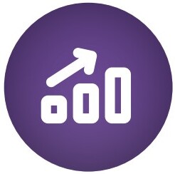 MVT icon